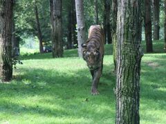 -北京野生动物园