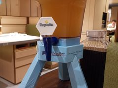 啤酒-海底捞火锅(金光华店)