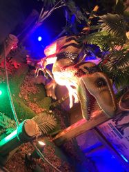 点击看大图 -恐龙探索乐园(磁器口店)