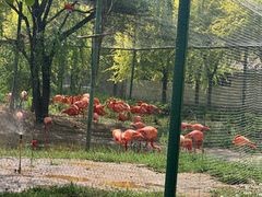 -石家庄市动物园