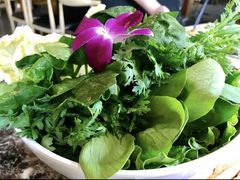 蔬菜拼盘-盛世盐帮·自贡特色(总店)