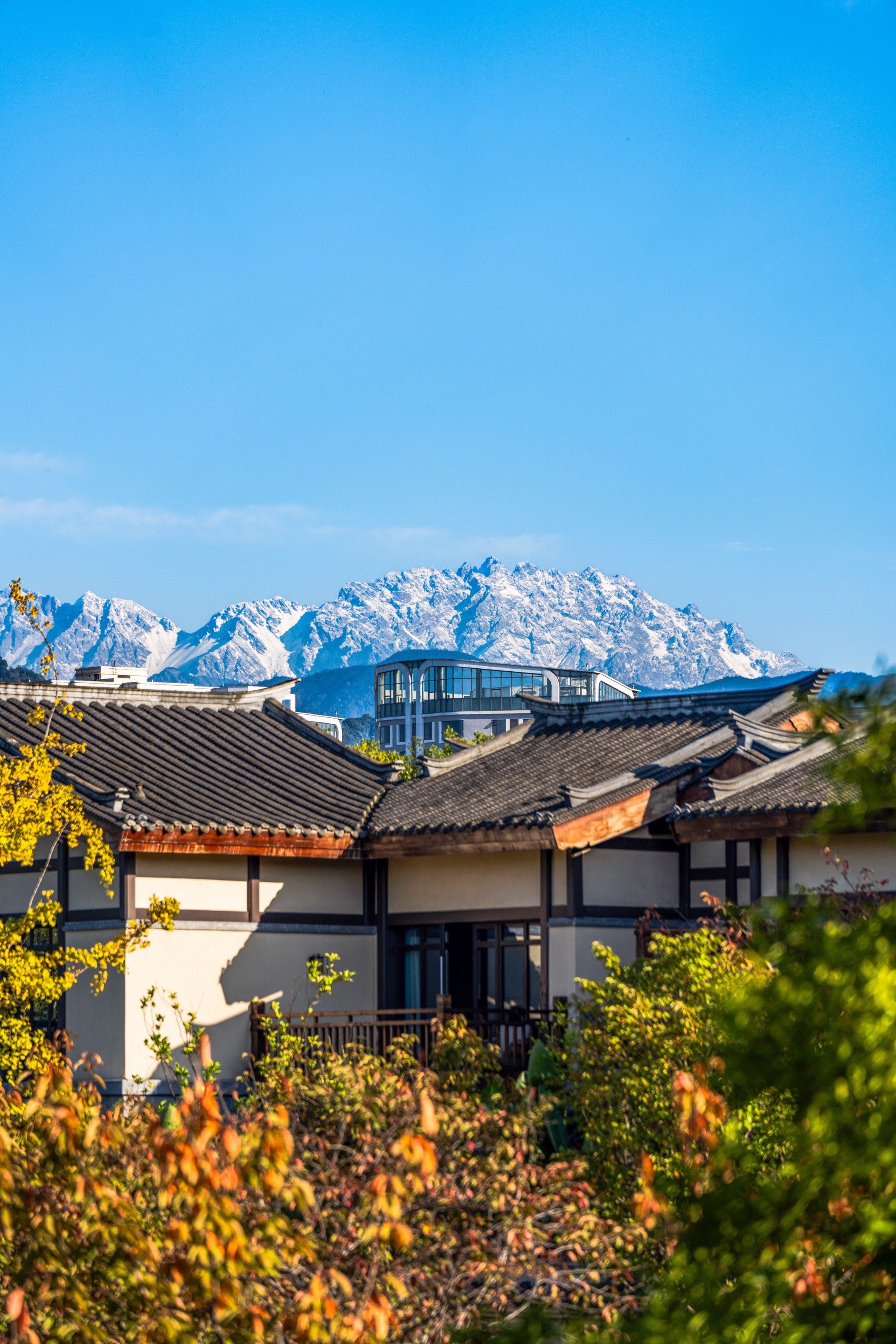 都江堰|周末泡汤90雪山之下的独栋私汤庭院
