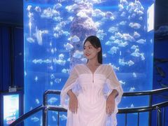 -厦门海底世界