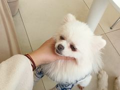 -怪兽屋·羊驼·猫咖·狗咖(俊华广场店)