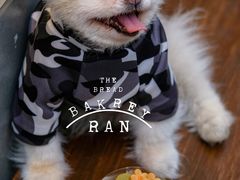 泰茶肉桂苹果蛋糕-RAN BAKERY