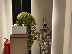 -大唐盲人按摩中心(科大先研院店)