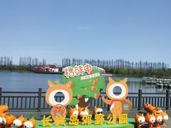 -上海长兴岛郊野公园