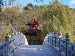 -大连植物园