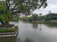 -荔湾湖公园
