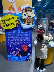 -卡森乐园