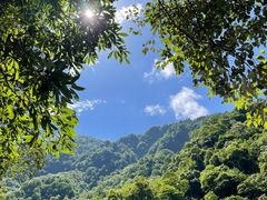 -西岭雪山大飞水景区