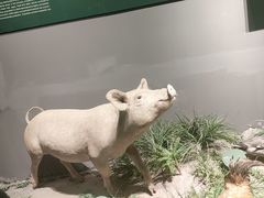 -武汉园博园(武汉自然博物馆)