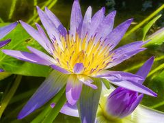 -国家植物园南园