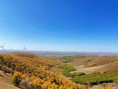 -塞罕坝国家级自然保护区