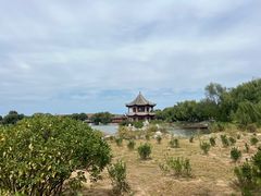 -盛世南宫影视城(北普陀影视城)