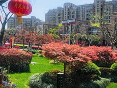 -荷风细雨·中国茶宴(碧云店)