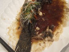 清蒸石斑鱼-上海安亭别墅花园酒店