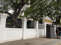 -长洲岛