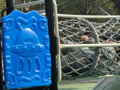 -苏州河梦清园环保主题公园