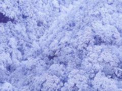 -萍乡武功山风景名胜区