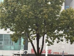 -盛福楼·惠山宴(盛岸路店)