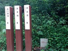 -羚羊峡古栈道森林公园