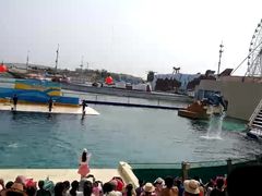 -秦皇岛乐岛海洋王国