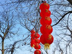 -灵顺寺