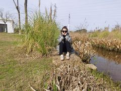 -上海长兴岛郊野公园