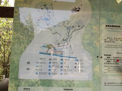 -都江堰中华大熊猫苑