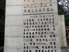 -南山植物园