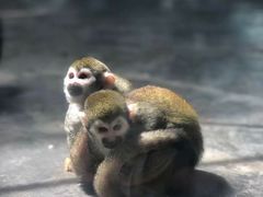 -西安秦岭野生动物园