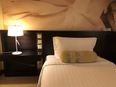 -国家会议中心大酒店