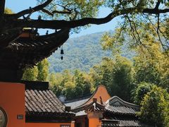 -宝岩生态观光园