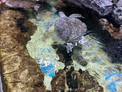 -南昌融创海世界