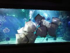 -南昌海洋公园