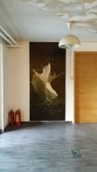 -北京当代芭蕾舞团·艺术中心