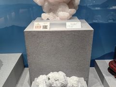 -贵州省地质博物馆