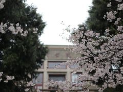 -武汉大学-樱园