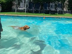 -汪说喵讲宠物乐园宠物酒店(红星美凯龙店)