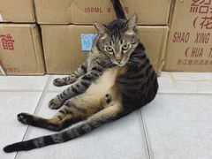 -江记大闸蟹专门店