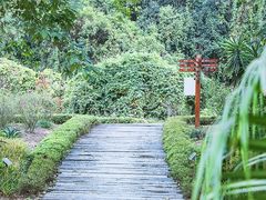 -广西壮族自治区药用植物园
