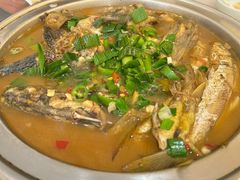 -全乐鱼馆·淳牌有机鱼直营店
