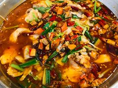 水煮鱼片-老福洲(西洪路店)