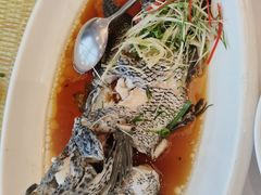 -骏莱海鲜鱼港(五角场店)
