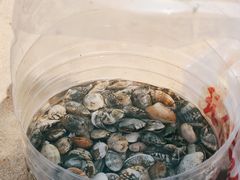 -东疆理想海岸沙滩景区