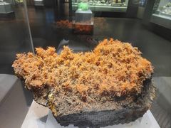 -湖南省地质博物馆