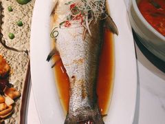 清蒸太湖野生大白鱼-梅飞酒家(名辉豪庭店)