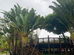 -深圳国际园林花卉博览园