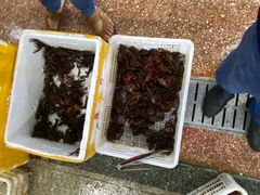 -渔人湾码头海鲜市场负二楼